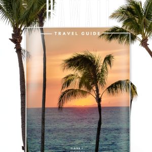 Hawaii Travel Guide Kindle eBook by DLM 2024 Edition with Maps-0