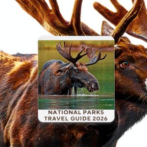 Yellowstone Roadside Attractions Travel Guide Kindle Edition Press-0