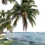 Roadside Attraction Travel Guide Kindle Edition by Adventure Press-0
